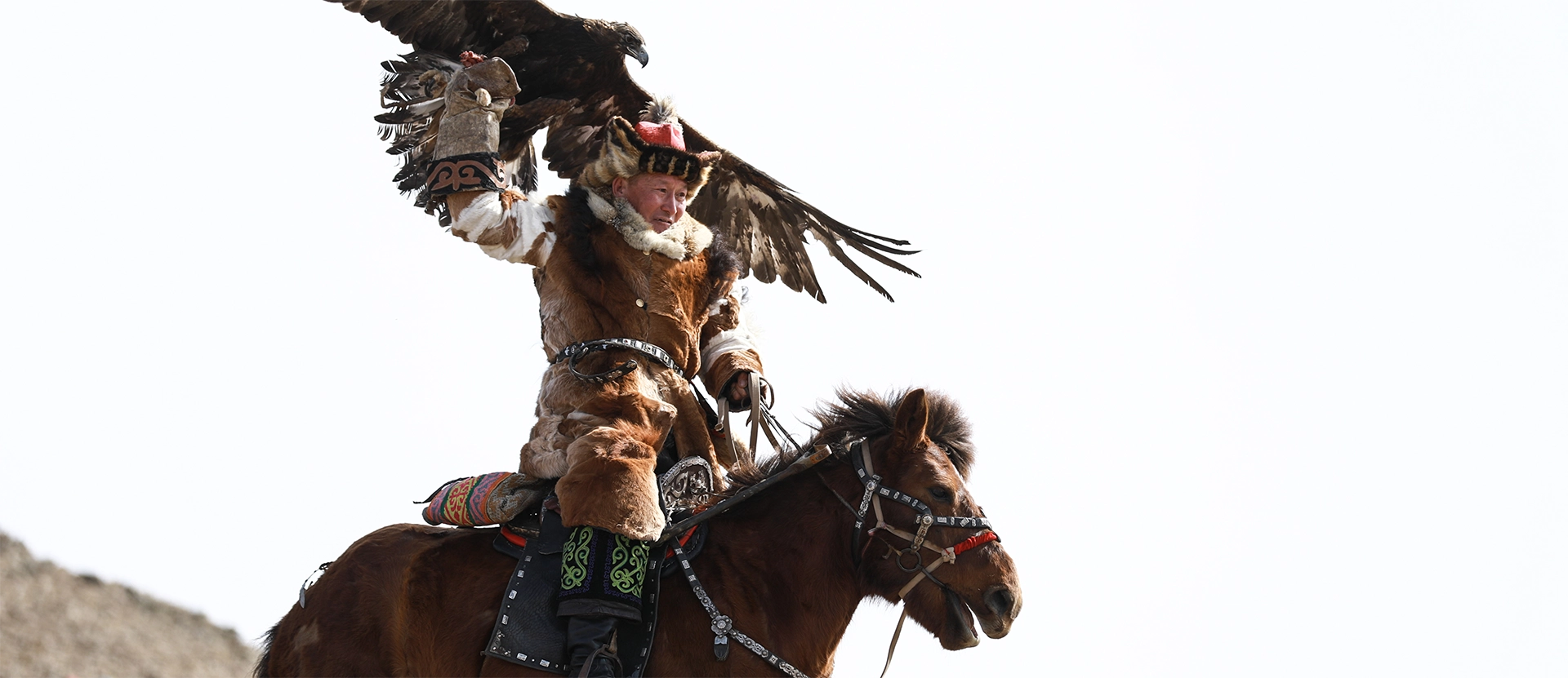Kazakh Nomad dressed in traditional Mongolian attire with his arm raised wearing falconry gloves handling an eagle with its wings spanned.