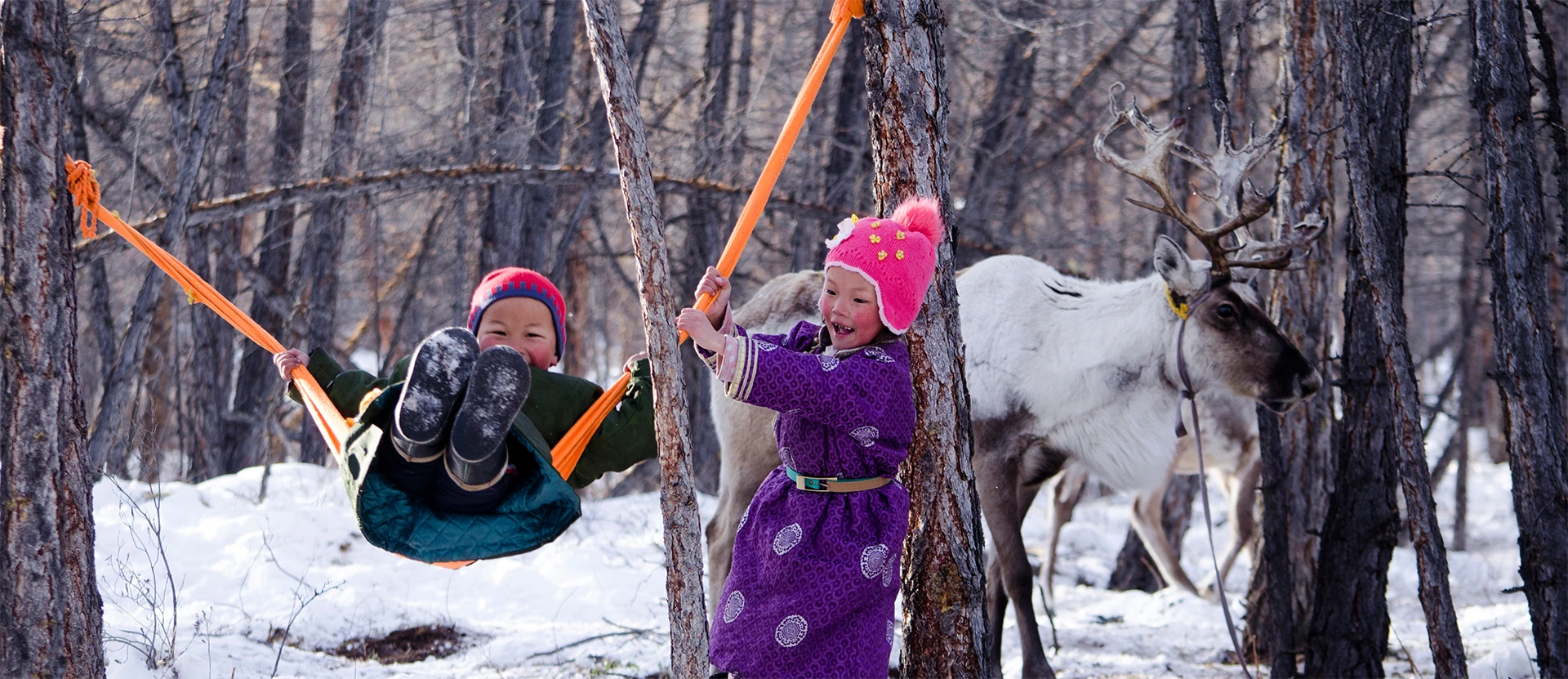 Mongolian kids playing on a cloth swing between trees, with a goose in the background
