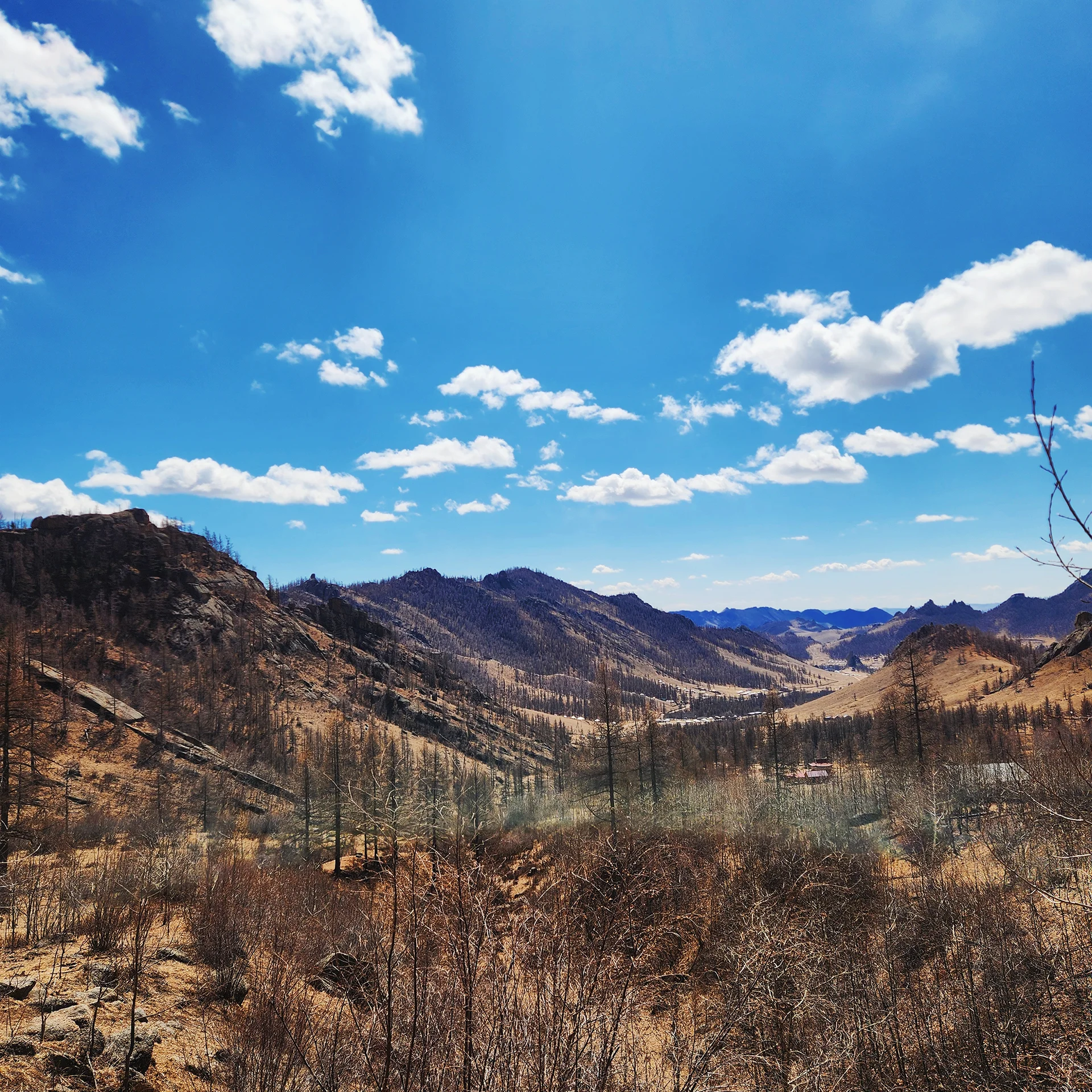 Spring - A park with trees and mountains in the back.
