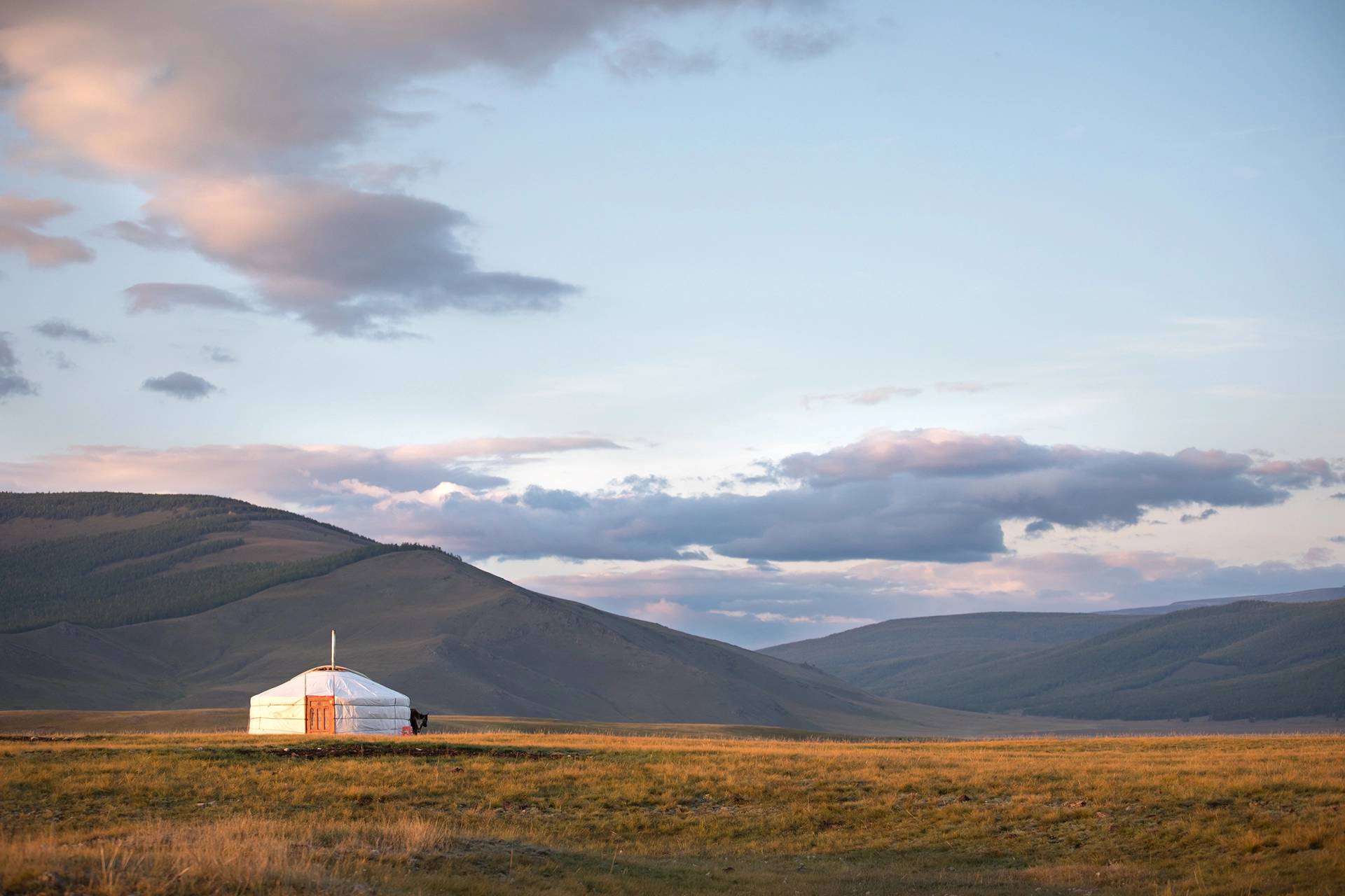 A yurt or ger in the Mongolian landscape with hills in the back